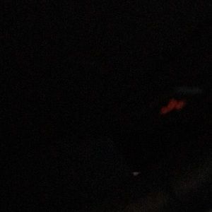 Meet your Posher, Sandy